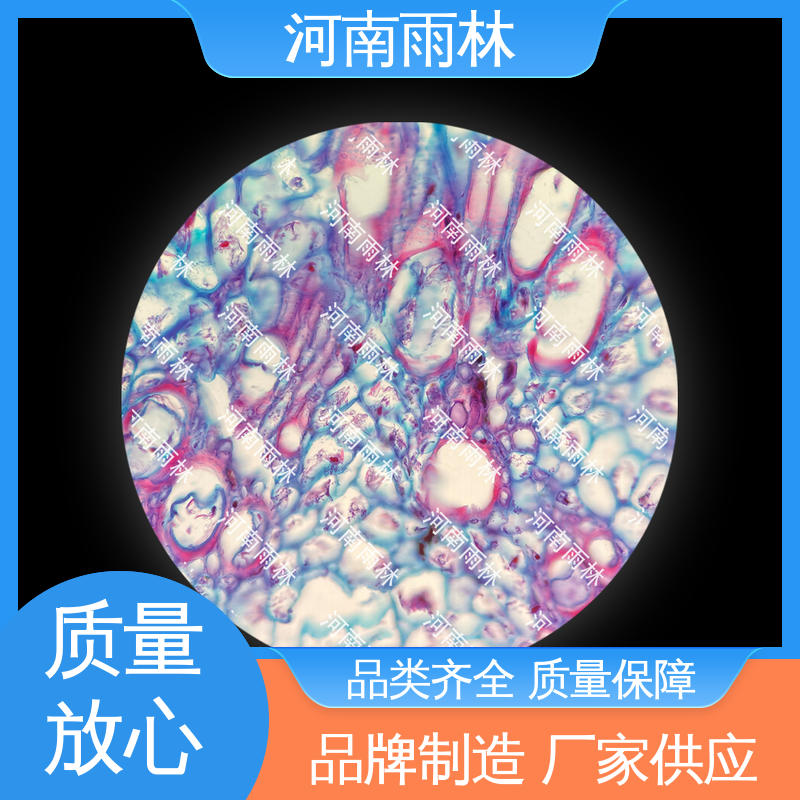 细胞清晰 植物切片 可提供材料 源头工厂 雨林教育