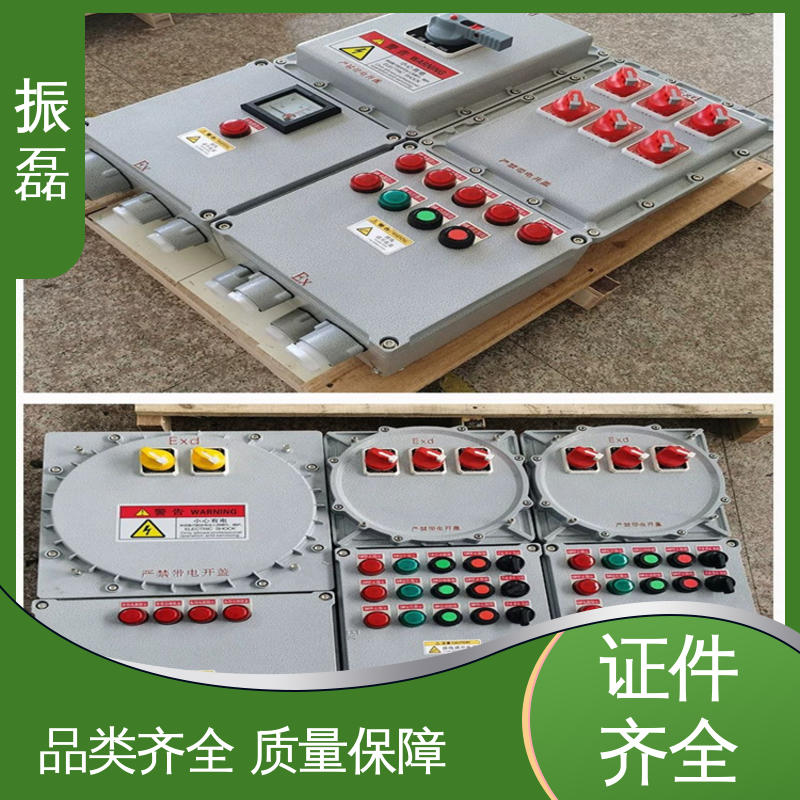 BXM(D)8050 防爆配电箱 2/4/6/8/10K可定制 振磊