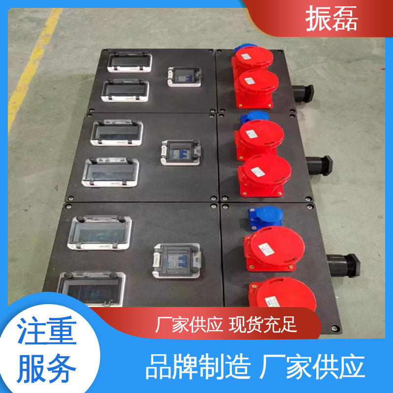 成套不锈钢接线箱 BXMD 防爆配电箱 变频器控制柜非标定做 振磊