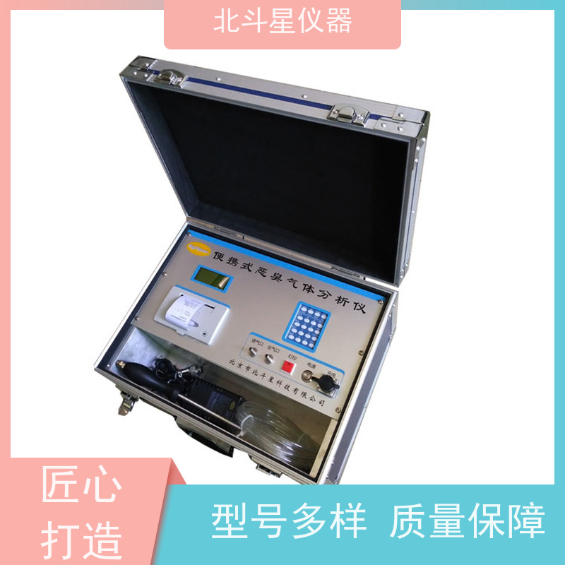 北斗星仪器 便携式 多参数测试 适用范围广 臭味检测仪