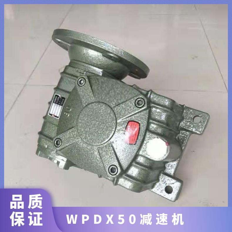 WPDX50减速机 小型卧式蜗轮减速器 晨潮机械 直连型 承载力强