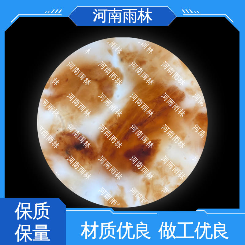 雨林教育工程 颜色鲜亮 植物切片 个性化定做 性价比高