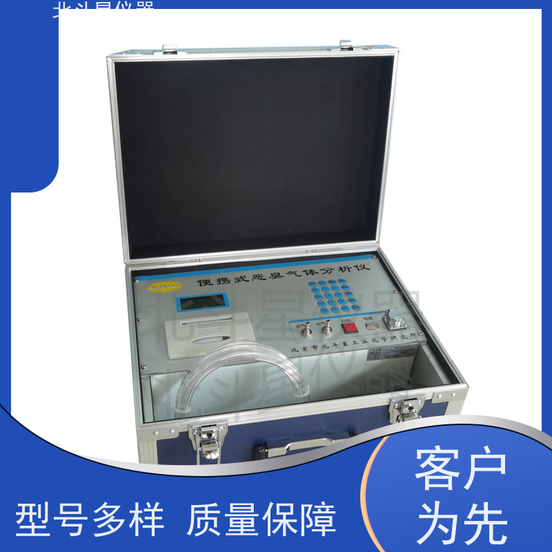 北斗星仪器 pAir2000-EFF 实时连续监测 恶臭分析仪
