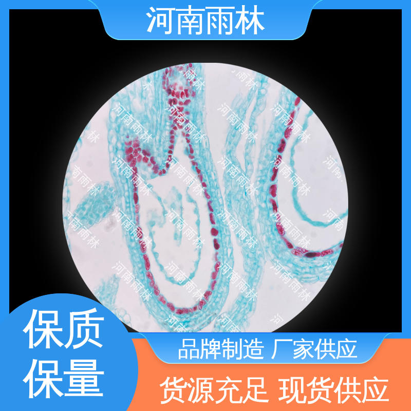 质量优 教学切片 细胞清晰 源头工厂 雨林教育工程