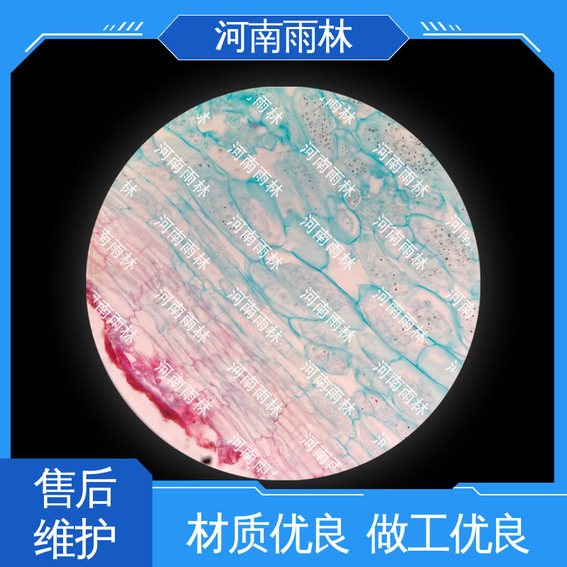 雨林教育工程 可提供材料 支持定制 显微切片 一对一质检