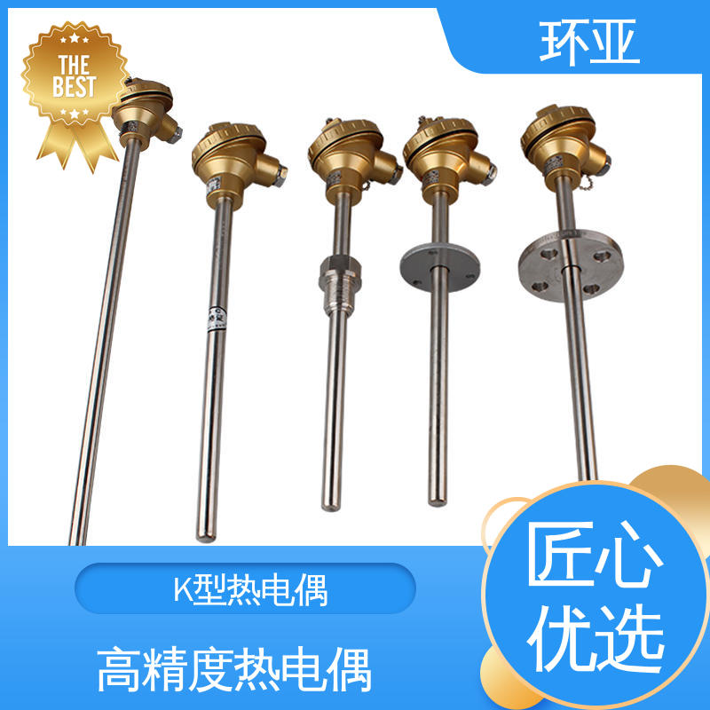 环亚 公司 2520钢材质 高温K型热电偶温度探头 玻璃厂