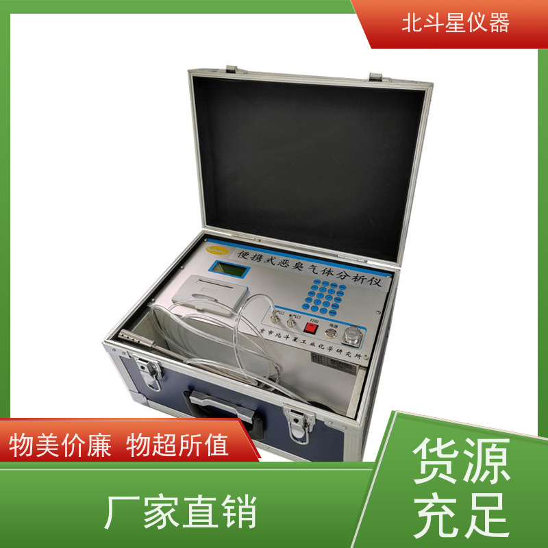 北斗星仪器 PGas-200-5s-09-odor 快速准确 经济实用 恶臭分析仪