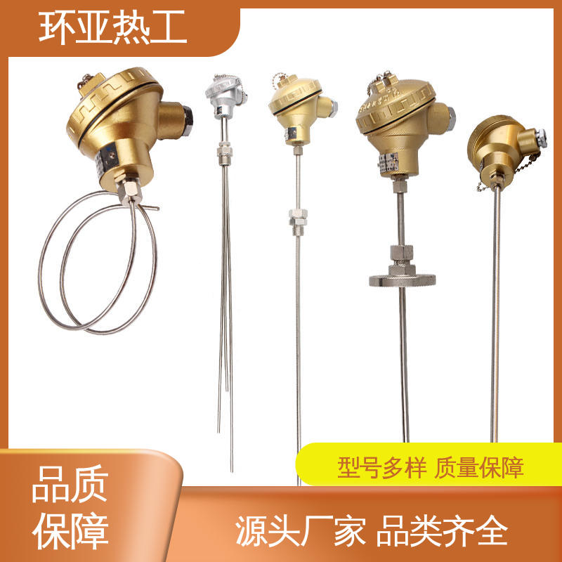 环亚 铠装热电偶温度传感器 公司 防腐强酸碱 电阻探头