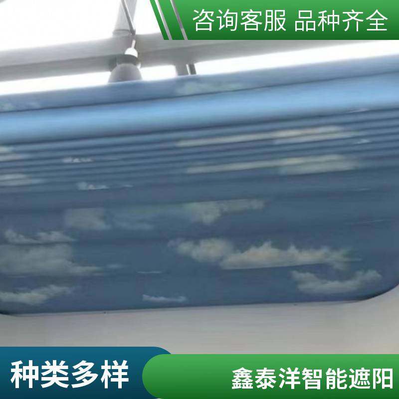 鑫泰洋定做采光顶遮阳帘 防晒电动遮阳棚 遮阳天幕厂家 免费上门安装