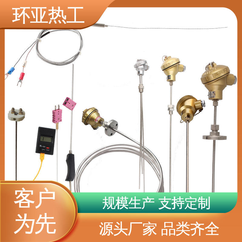 铂电阻探头 铠装热电偶温度传感器 防腐强酸碱 厂商 环亚