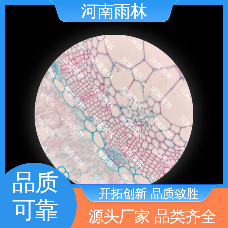 雨林教育工程 可定制 质量保障 教学切片 厂家销售