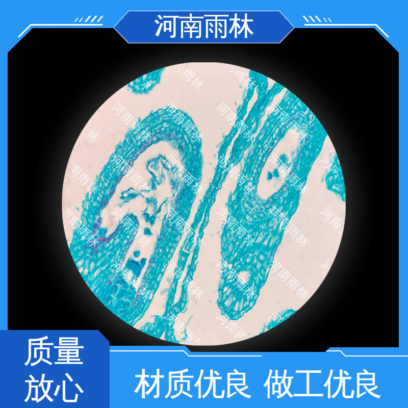 支持定制 性价比高 教学切片 一对一质检 雨林教育