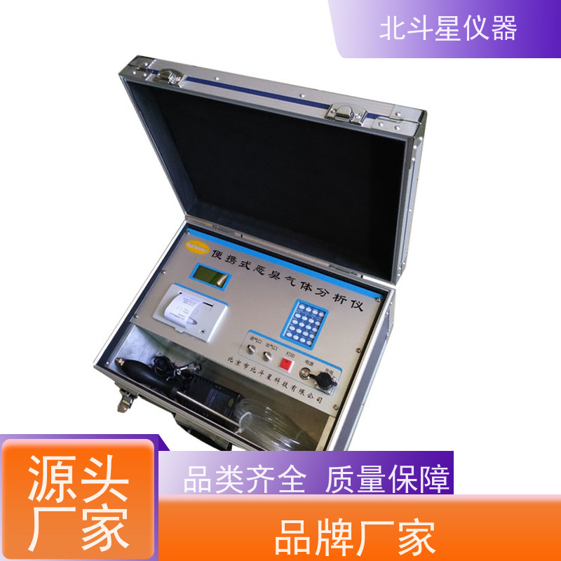北斗星仪器 污水处理厂用 实时连续监测 恶臭气体检测仪