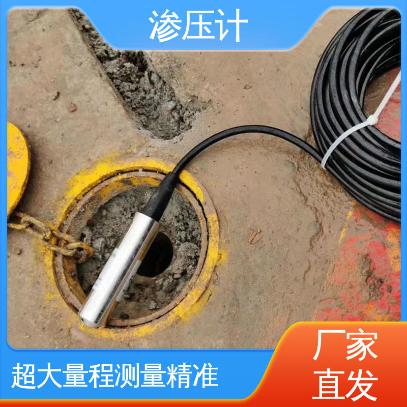 长期在线监测 地质灾害 硅压阻式渗压计 结构物内部水压