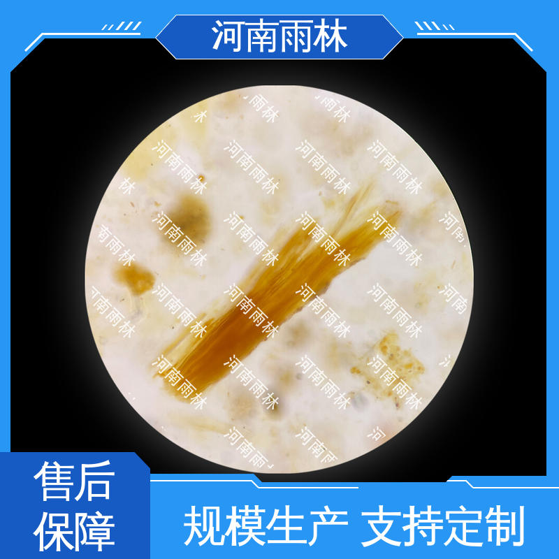 雨林 个性化定做 细胞清晰 实验切片 可提供材料