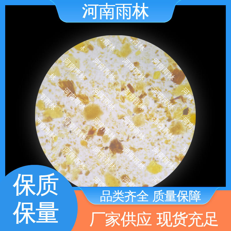 雨林教育工程 植物标本 切片安全 质量优 支持定制