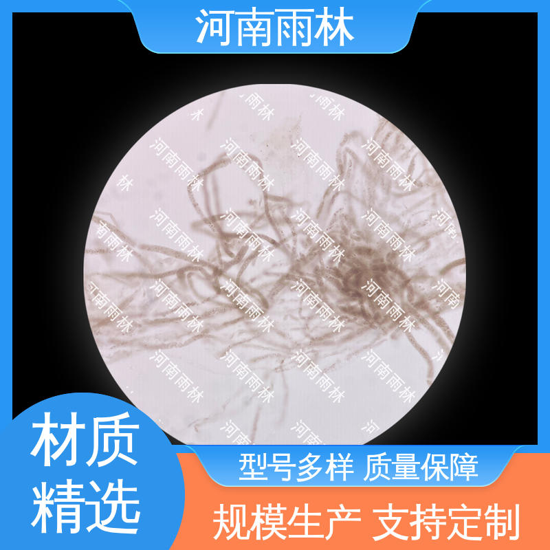 雨林 个性化定做 可提供材料 生物切片 细胞清晰