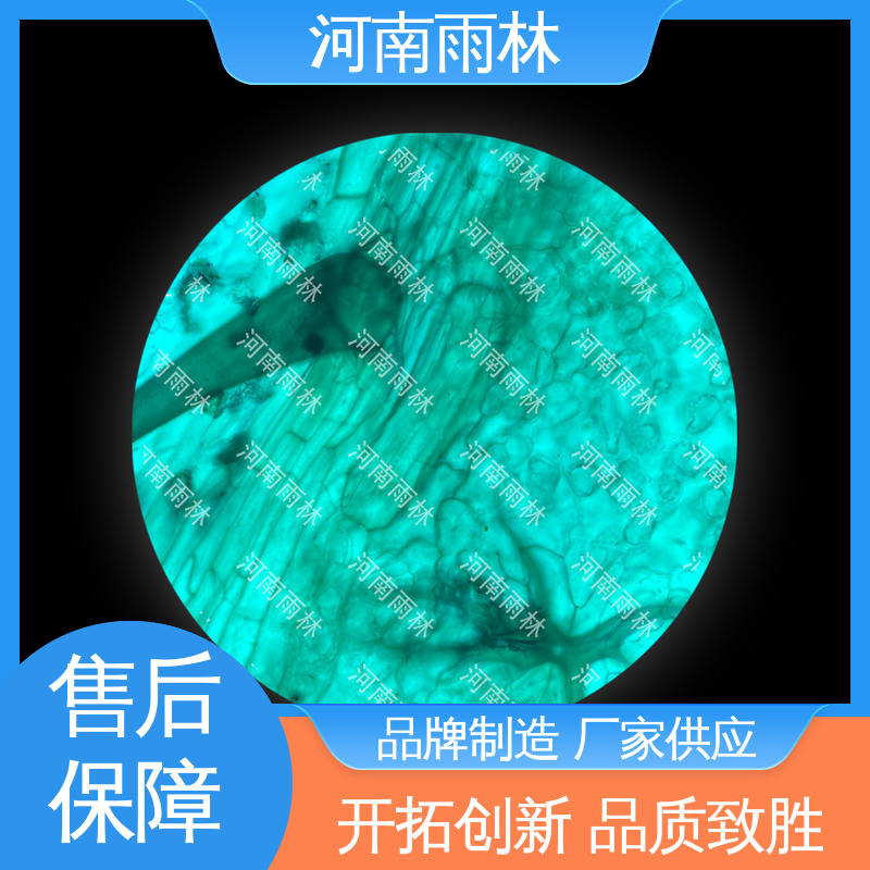 可定制 细胞清晰 各类标本 厂家销售 雨林教育工程