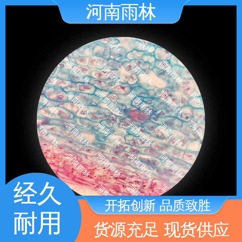 品质优良 专业 各类标本 可提供材料 雨林教育工程