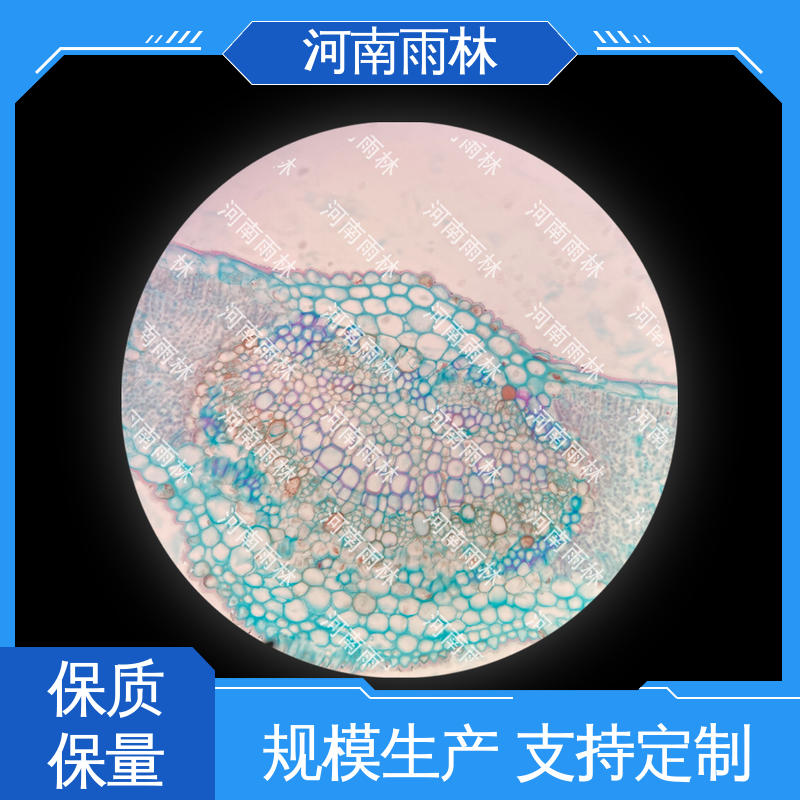源头工厂 一对一质检 病害标本 售后无忧 雨林教育工程