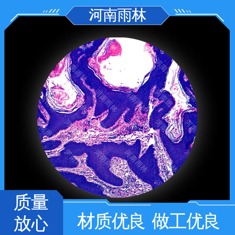 质量保障 性价比高 各类标本 源头工厂 雨林教育工程