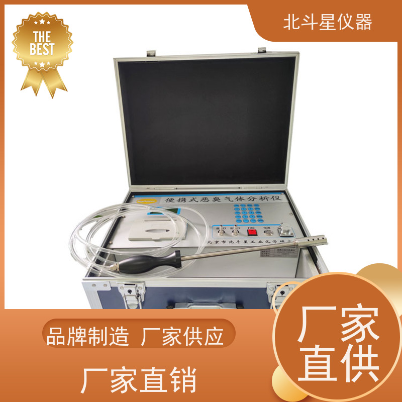 北斗星仪器 配备进口高精度传感器 恶臭检测仪 化工厂生产过程泄露