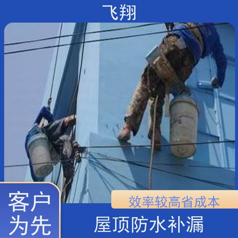 飞翔 外墙防水补漏施工 免费勘察快速修补 效率高 