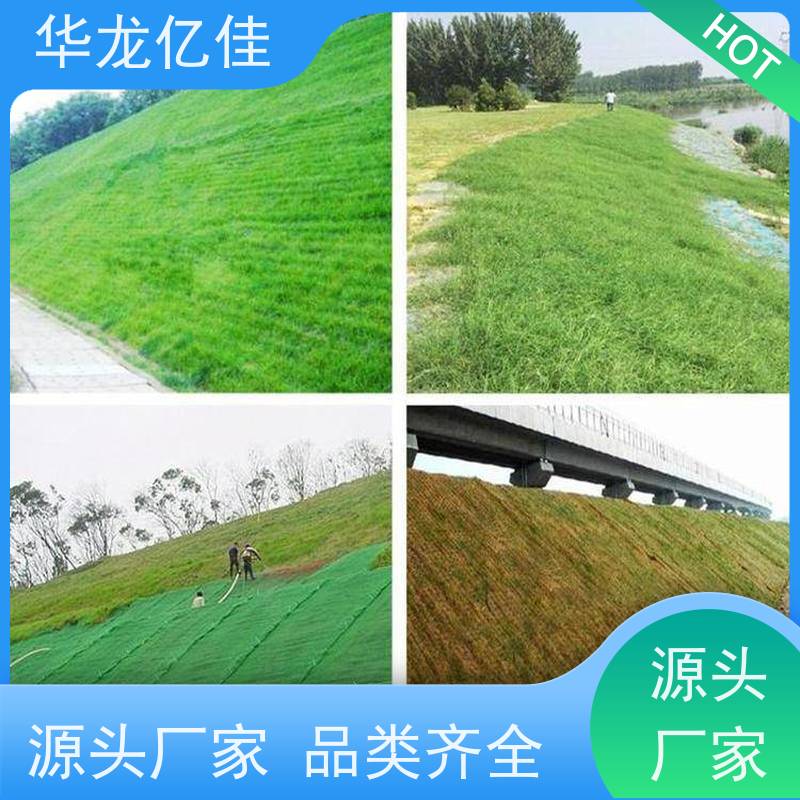 特价 加筋抗冲毯 河道护坡绿化植草毯 应用广泛