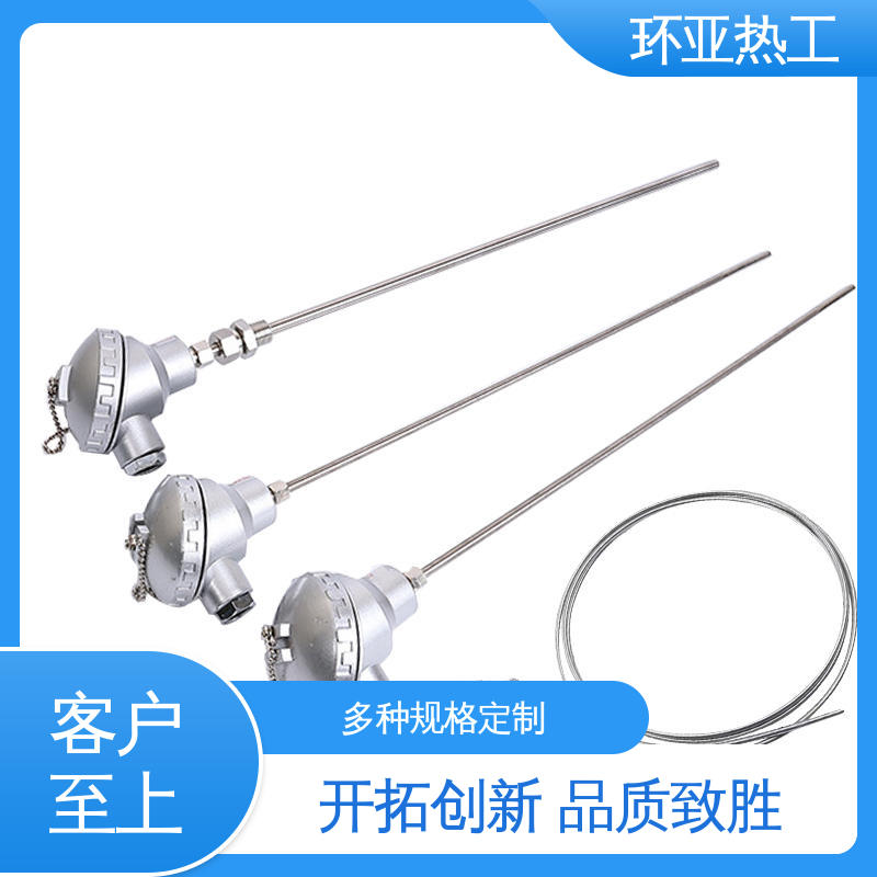 进口芯片 公司 铠装偶WRNK-K/N/E/T/J/191型 316L材质 环亚