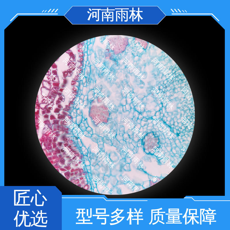 品质优良 教学切片 售后无忧 源头工厂 雨林教育工程