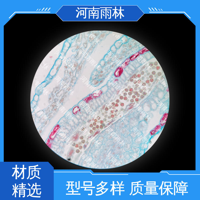 个性化定做 可提供材料 各类标本 质量保障 雨林教育工程