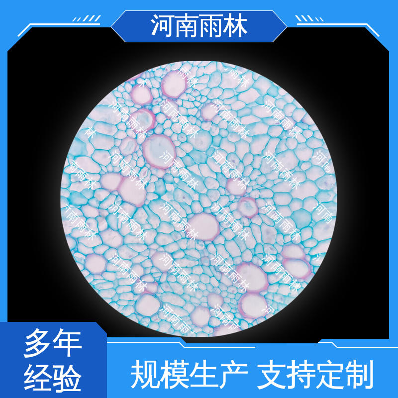 售后无忧 个性化定做 实验切片 颜色鲜亮 雨林教育工程