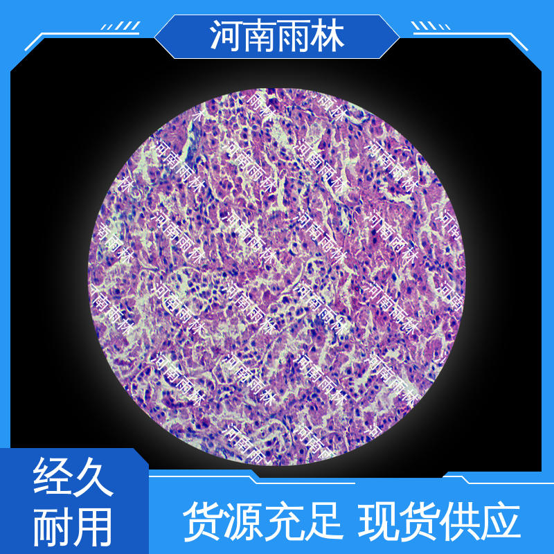 厂家销售 可定制 教学切片 一对一质检 雨林教育工程
