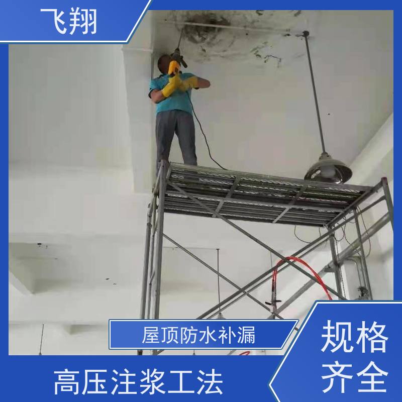 飞翔 防水补漏材料厂家 免费勘察快速修补 效率高 