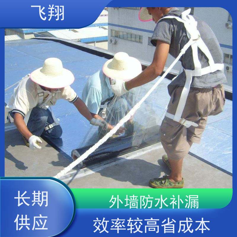 飞翔 厂房防水补漏 免费勘察快速修补 施工速度快 