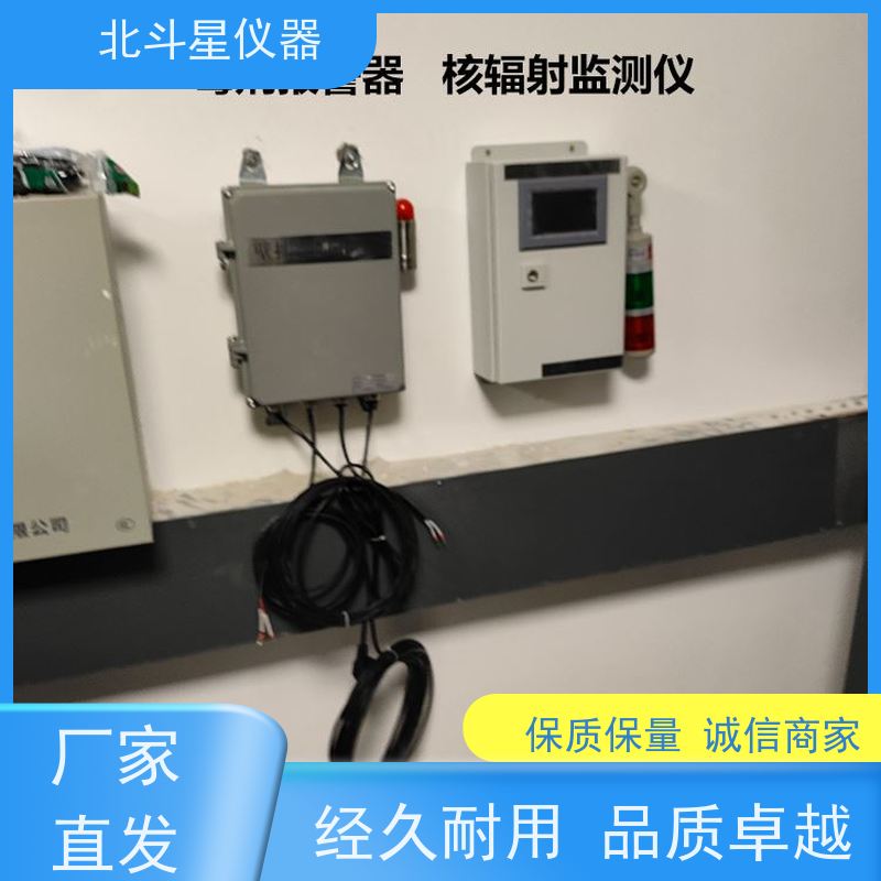 北斗星仪器 ARM6103N 放射性核辐射检测仪 生产厂家 售后无忧