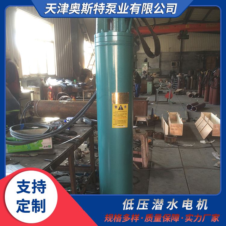 1140V低压潜水电机 可用于井下取水 技术成熟 满足各种水下作业需求