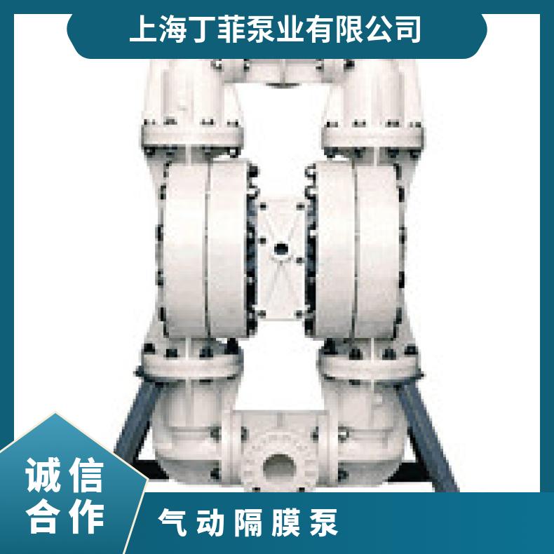 T15/AAAAB/BNU/BN/ 进口气动隔膜泵隔膜片 08-13891?? ?