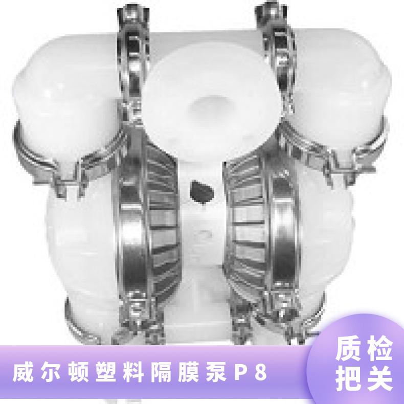 T8/WWAPB/NEU/NE/ 威尔顿塑料隔膜泵P8 P4/SSAPP/TSU/TF/STF/0070