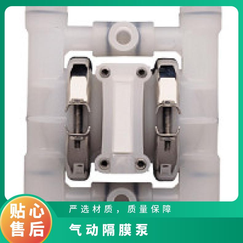 08-11105?? ?威尔顿wilden气动隔膜泵?? ?T8/AAAPB/NES/N