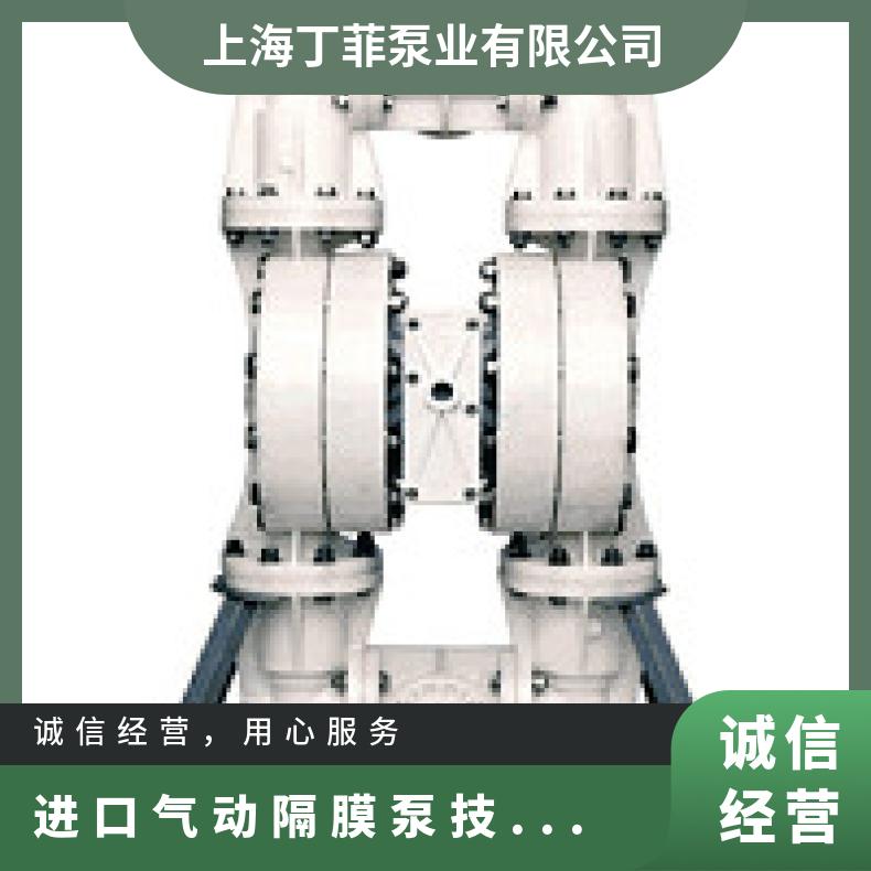 02-12059?? ?威尔顿wilden气动隔膜泵?? ?XPX2/SSNNN/TSU