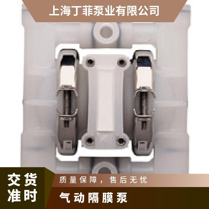 PX200/AAAAA/TSU/TF/ATF/0677 气动隔膜泵安装服务 XPX15/AAA