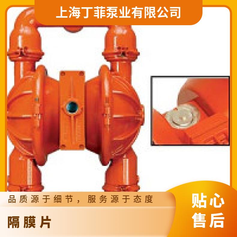 15-11884?? ?威尔顿wilden气动隔膜泵?? ?XPX/AAAAR/BN