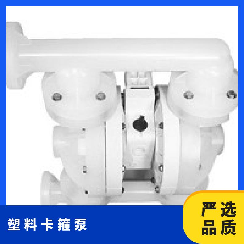 PX15/ASAAR/TNU/TF/ATF/0014 威尔顿1系列金属气动隔膜泵 1