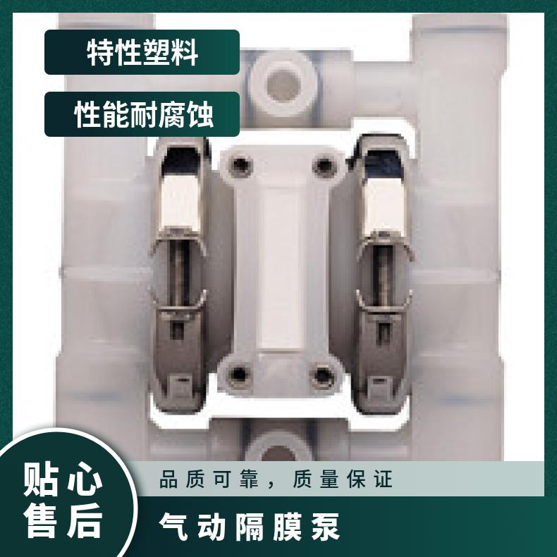 04-12368?? ?威尔顿wilden气动隔膜泵?? ?XPX400/SSAAA/E