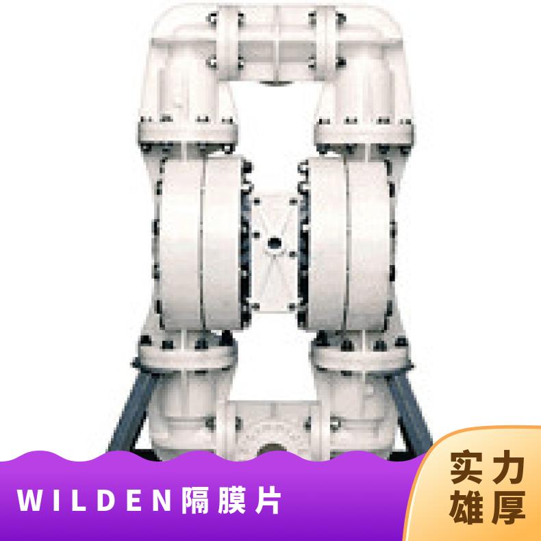 15-11559?? ?威尔顿wilden气动隔膜泵?? ?XPX/SSAAA/TE