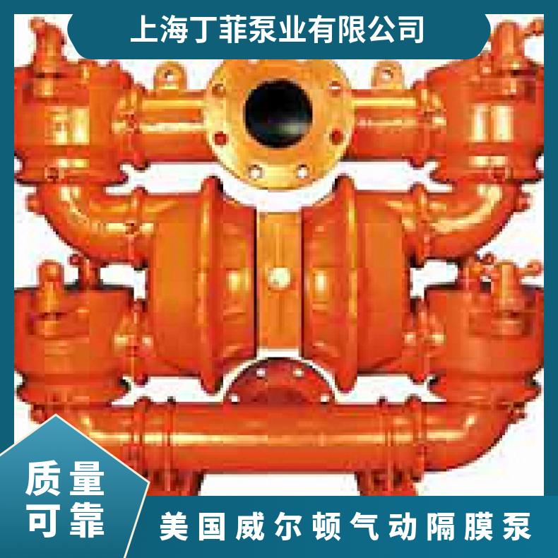 04-12320?? ?威尔顿wilden气动隔膜泵?? ?XPX400/SSSSS/B