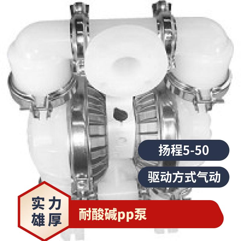T8/AAAPB/WFS/WF//0030 气动隔膜泵威尔顿 PX200/SSAAA/TNU