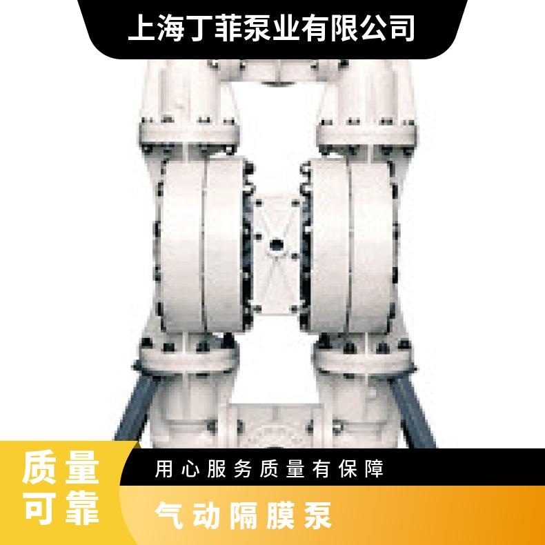 P200/AAPPP/BNS/BN/ABN/0696 进口气动隔膜泵单向阀 PX8/SSAA