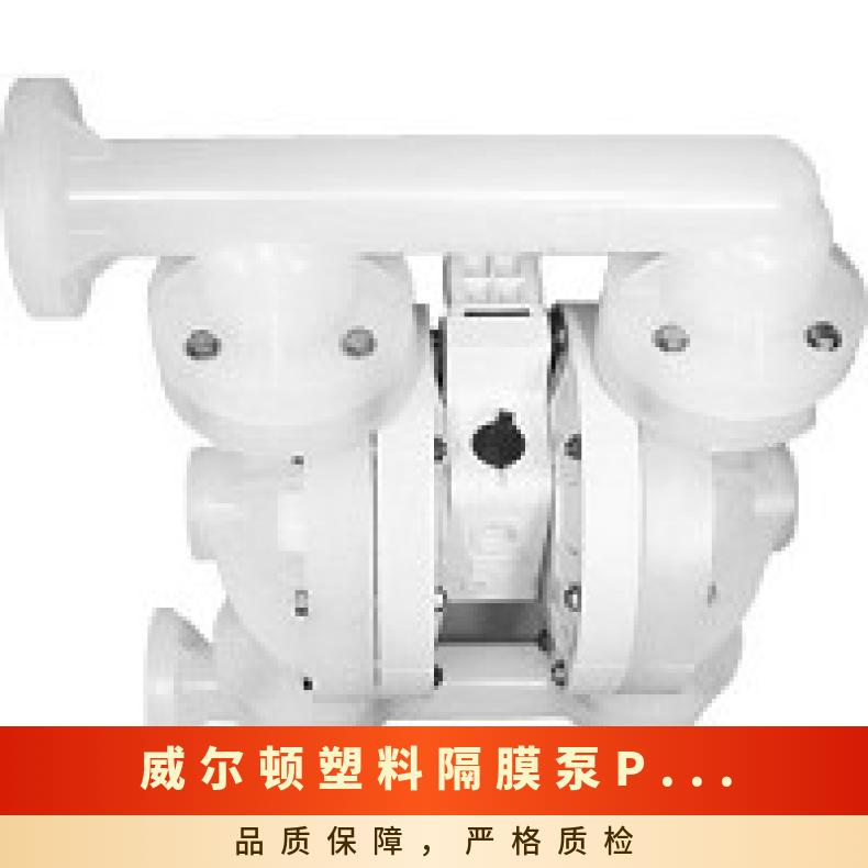 XPX15/SSNNN/FSS/FS//0070 威尔顿塑料隔膜泵P800 P400/SSA